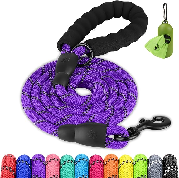 Joytale Dog Leash for Small Dogs, Heavy Duty Nylon Leashes with Comfortable Padded Handle and Highly Reflective Threads, Ideal for Walking and Training, Purple, 5'횞3/8''