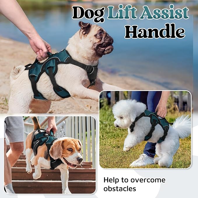 rabbitgoo Escape Proof Dog Harness Small Sized Dog, Soft Padded Full Body Pet Harness, Reflective Adjustable Vest with Lift Handle and Leash Clip for Walking Hiking Training, Dark Green, S