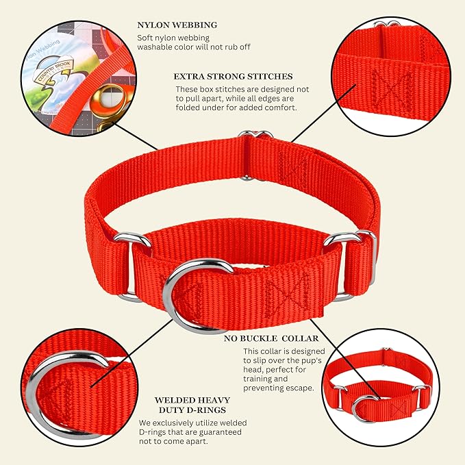 Country Brook Petz - Martingale Dog Collar - Heavy-Duty Training Collar with No Buckle - Service Dog Collar for All Pups - 10+ Warm Colors (Hot Orange, 1 Inch, Large)