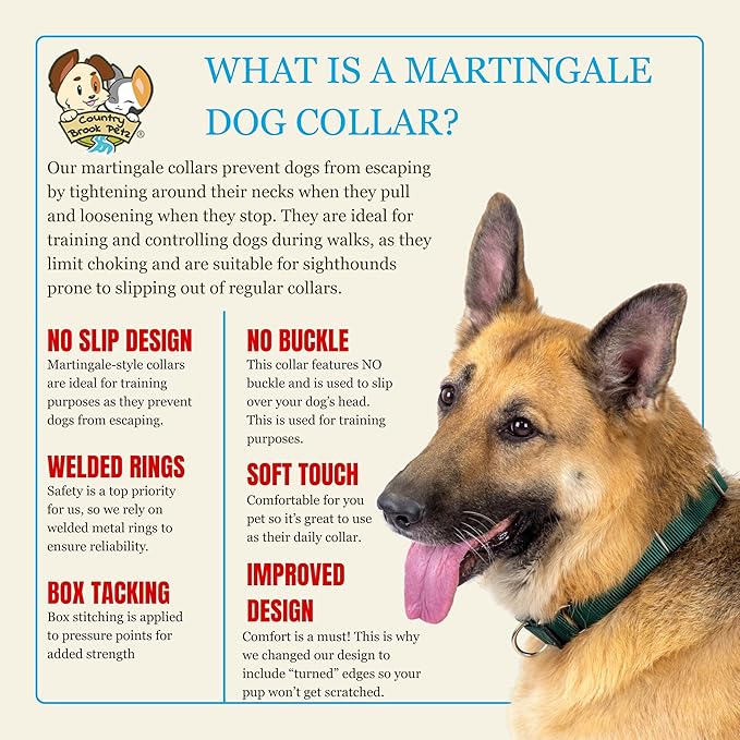 Country Brook Petz - Martingale Dog Collar - Heavy-Duty Training Collar with No Buckle - Service Dog Collar for All Pups - 10+ Warm Colors (Coyote Tan, 3/8 Inch, 2XS)