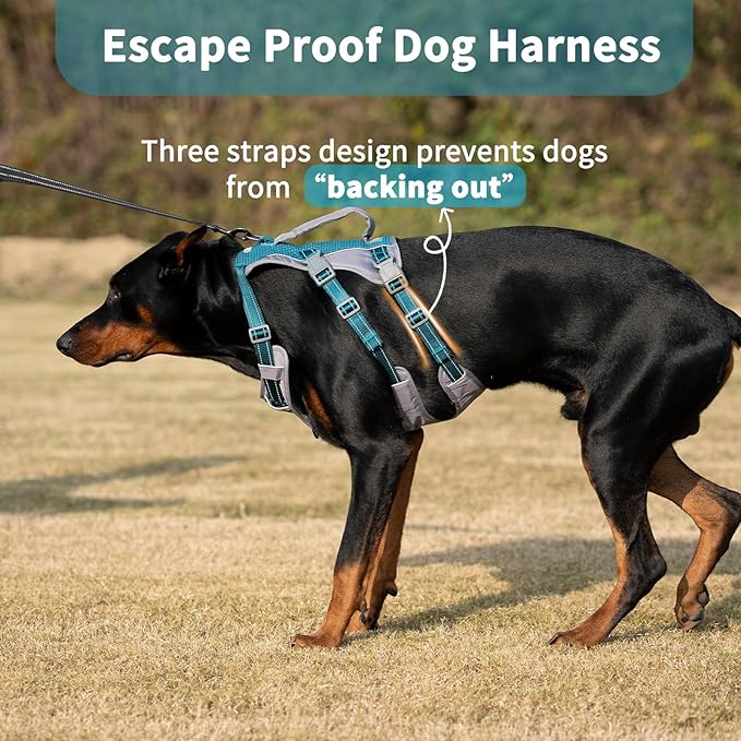 Huntboo Reflective Dog Harness with Handle, Escape Proof, No Slip, Breathable, Lightweight, Adjustable Lift Harness for Small, Medium, and Large Dogs Walking, Training, and Running Gear(Teal Blue,S)