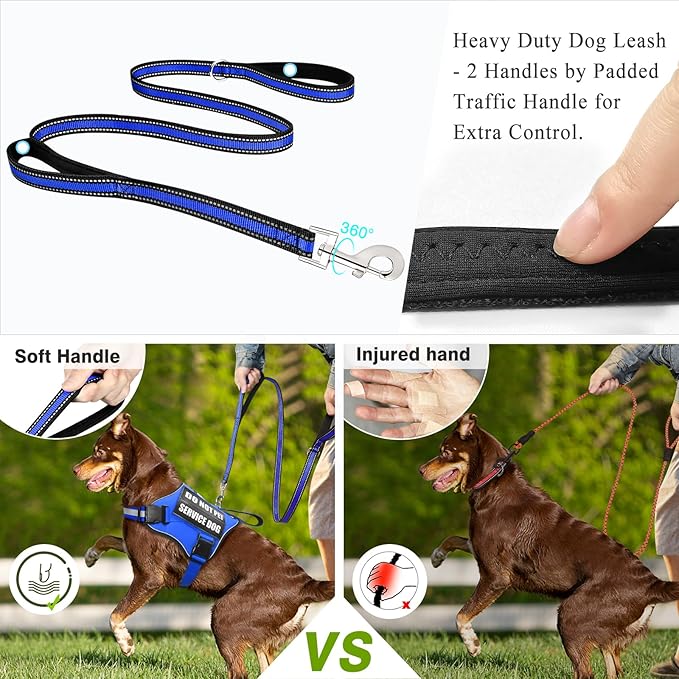 WINSEE Dog Harness & Leash Set, Small Blue, Emotional Support Therapy Vest with 10 Patches, Reflective, Adjustable, for Medium & Large Dogs