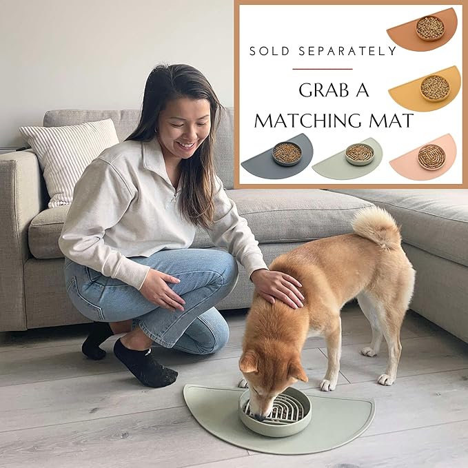 Should We Go? Slow Feeder for Dogs & Cats, The Slowdown Bowl Silicone Slow Eating Mealtime Solution with Modern Lick Mat Design, Reduces Gulping, Fits 1 Cup, 6” Across x 1.25” Tall, Small-Spruce
