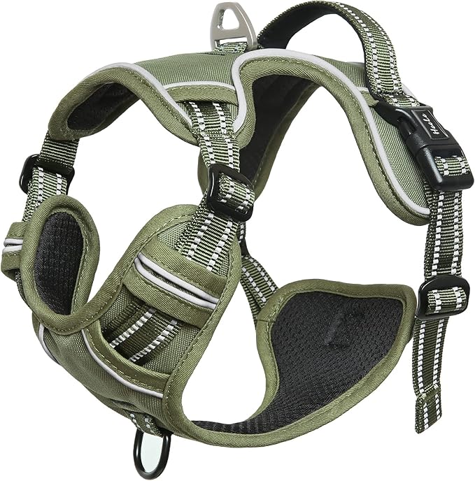 HEELE Dog Harness, Dog Harness for Small Medium Large Dogs No Pull Adjustable Padded Reflective Harness with Handle for Walking Training, Green, XL