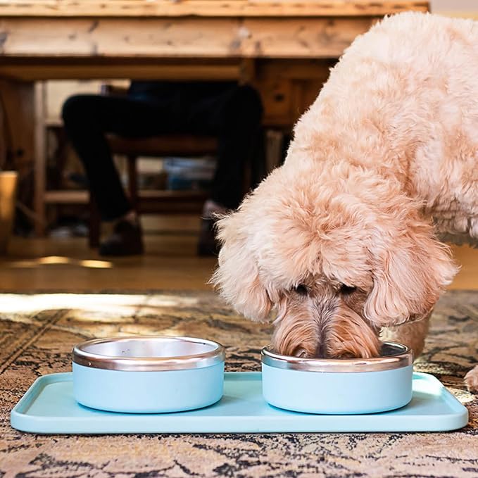 Trot Pets Premium Dog Bowls | Stainless Steel Bowl Set for Small, Medium, or Large Dogs | Non-Slip Food and & Water Slow Feeder | Durable, BPA-Free, Anti-Skid, Dishwasher Safe (Slate, Small)