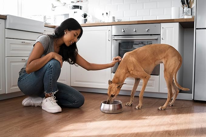 Sipworks Stainless Steel Dog Bowl – 32oz Weighted Metal Food and Water Bowls for Dogs and Cats with Non-Slip Base - Pet Bowls for All Breeds Sizes for Travel & Outdoor Play | Oyster