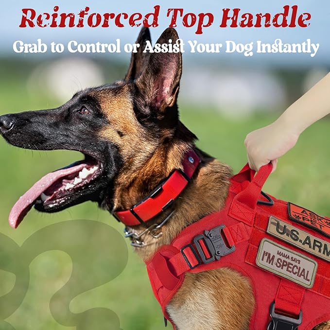 rabbitgoo Tactical Dog Harness for Small, Heavy Duty Pet Harness with Handle, No-Pull Service Vest Small Breed, Adjustable Military Dog Vest for Training Hunting Walking, Red, S
