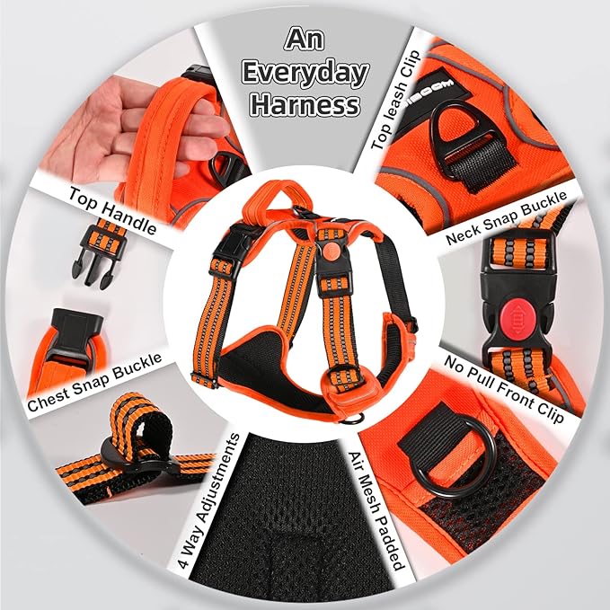 No Pull Dog Harness with Free Heavy Duty 5ft Leash, Adjustable Soft Padded Vest, Reflective No-Choke Oxford Vest with Control Handle for Small and Large Dogs (Orange, Large)