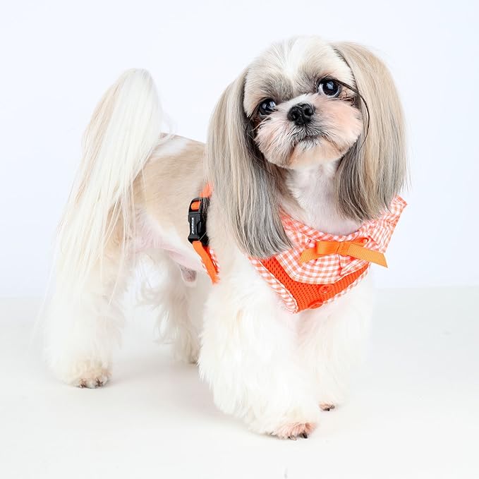 Puppia Vivien Dog Harness Over-The-Head All Season Cute No Pull No Choke Walking Training Adjustable for Small Dog, Orange, Small