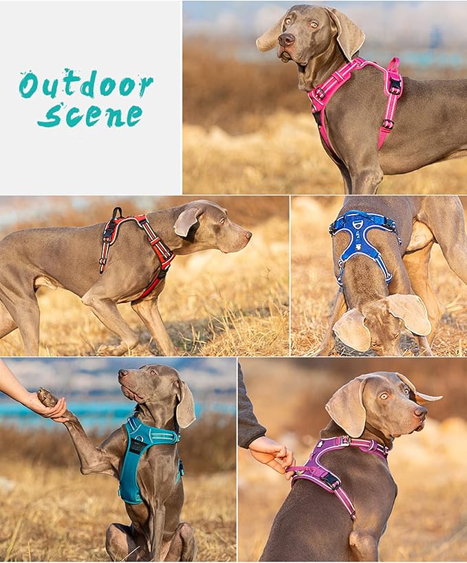 TRUE LOVE Dog Harness No Pull Nylon Reflective Pet Harness Adjustable Comfortable Control Step-in Brilliant Colors Truelove TLH56512 XS