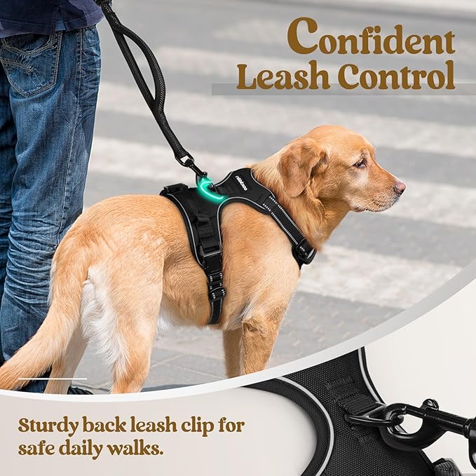 rabbitgoo Dog Harness No Pull with 2 Leash Clips, Adjustable Soft Padded, Reflective Oxford No Choke Pet Vest with Easy Control Handle for Medium Sized Dogs, Black, M