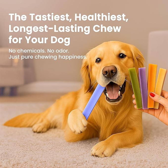 KATHMANDU'S 100% Natural Blueberry Flavored Yak Chews – Keep Dogs Busy & Happy with Our Lactose&Rawhide Free Himalayan Dog Chews - Long Lasting Dental Treats for Aggressive Chewers (Large, Pack of 4)