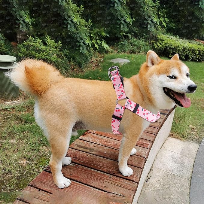 QQPETS Dog Harness Leash Set Adjustable Heavy Duty No Pull Halter Harnesses for Small Medium Large Breed Dogs Back Clip Anti-Twist Perfect for Walking (M(19"-26" Chest Girth), Sakura Pink)