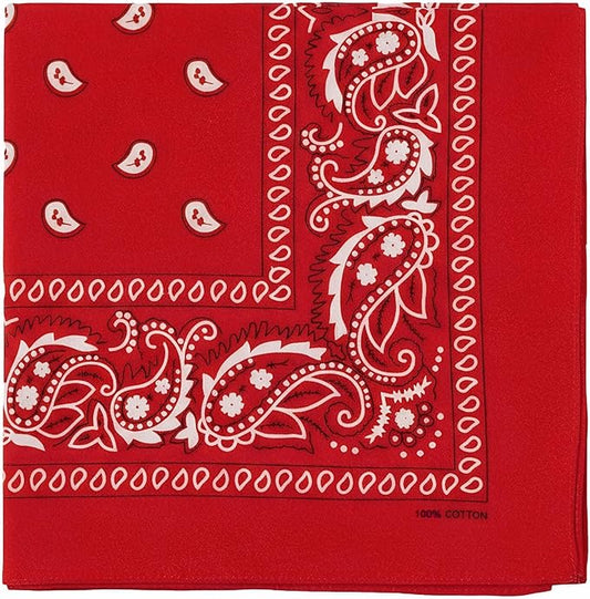 combocube 12 Pack(one Dozen) Multi-Purpose Cotton Paisley Cowboy Bandanas Headband for Men and Women