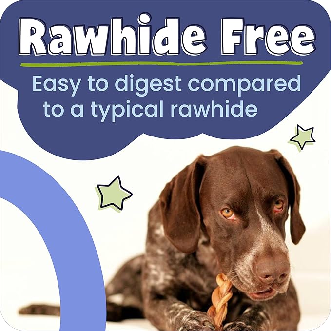 Pawstruck All-Natural 12" Bully Sticks for Dogs - Long Lasting, Rawhide-Free, Low Odor & Grain-Free Dental Chew Treat - Healthy Single Ingredient, 100% Real Beef - 1 lb Bag