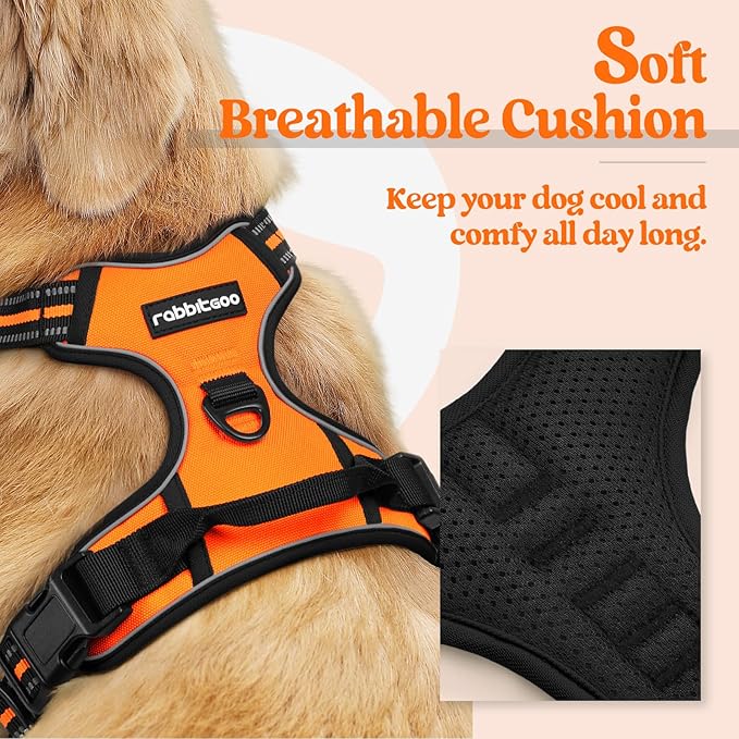rabbitgoo Dog Harness No Pull with 2 Leash Clips, Adjustable Soft Padded, Reflective Oxford No Choke Pet Vest with Easy Control Handle for Small Dogs,Orange,S