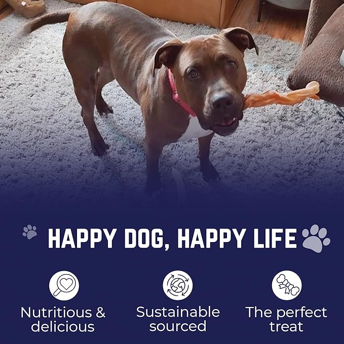 Devil Dog Pet Co. Jumbo Bully Sticks – 6 Inch, 3 Pack Dog Chews, 100% Natural, Single Ingredient, Free-Range Grass-Fed Beef – Long Lasting, Rawhide-Free Treats for Dogs