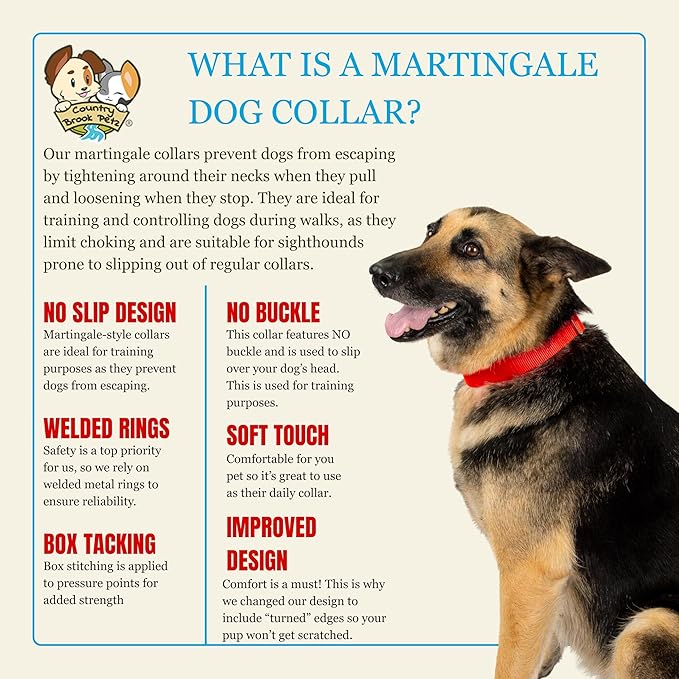 Country Brook Petz - Martingale Dog Collar - Heavy-Duty Training Collar with No Buckle - Service Dog Collar for All Pups - 10+ Warm Colors (Hot Orange, 3/8 Inch, 2XS)