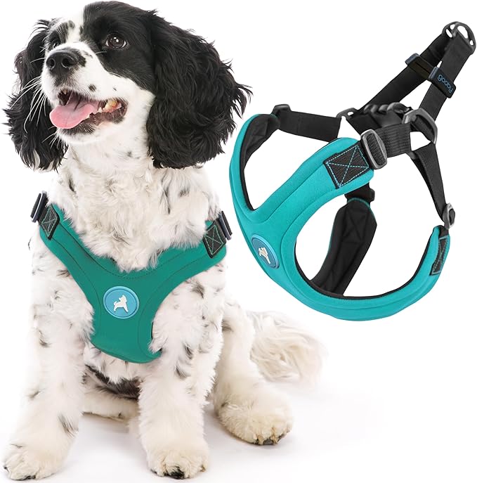 Gooby Escape Free Sport Harness - Turquoise, Medium - No Choke Step-In Patented Neoprene Small Dog Harness, Four-Point Adjustment - Perfect on the Go Dog Harness for Medium Dogs No Pull and Small Dogs