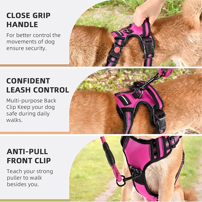 No Pull Dog Harness with A Free Heavy Duty 5ft Dog Leash, Adjustable Soft Padded Dog Vest, Reflective No-Choke Pet Oxford Vest with Easy Control Handle and Dog Leash for Dogs (Pink, Large)