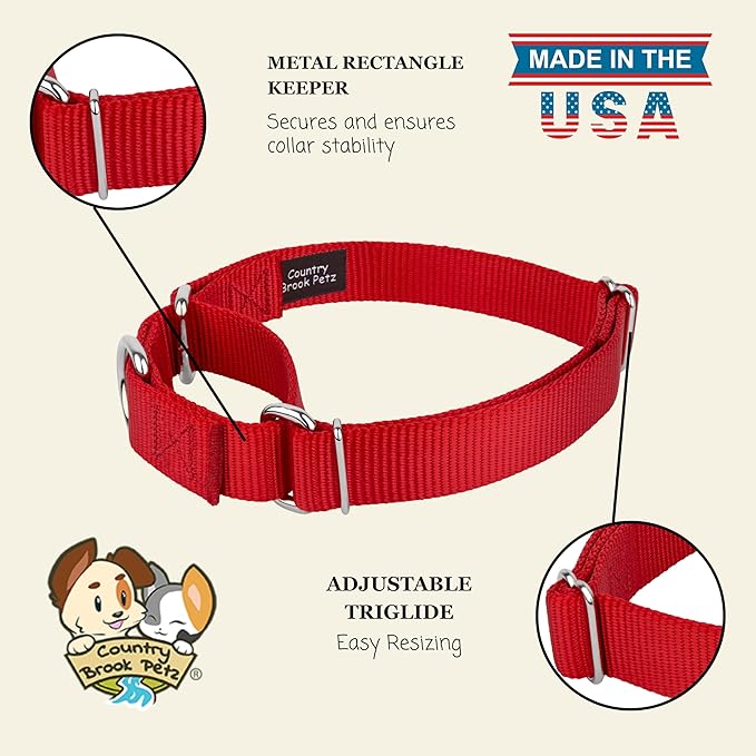 Country Brook Petz - Martingale Dog Collar - Heavy-Duty Training Collar with No Buckle - Service Dog Collar for All Pups - 10+ Warm Colors (Red, 1 Inch, Medium)