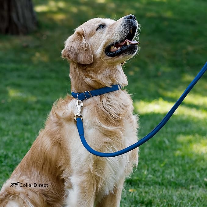 CollarDirect Rolled Leather Dog Collar, Soft Padded Round Puppy Collar, Handmade Genuine Leather Collar Dog Small Large Cat Collars 13 Colors (15-19 Inch, Deep Blue Textured)