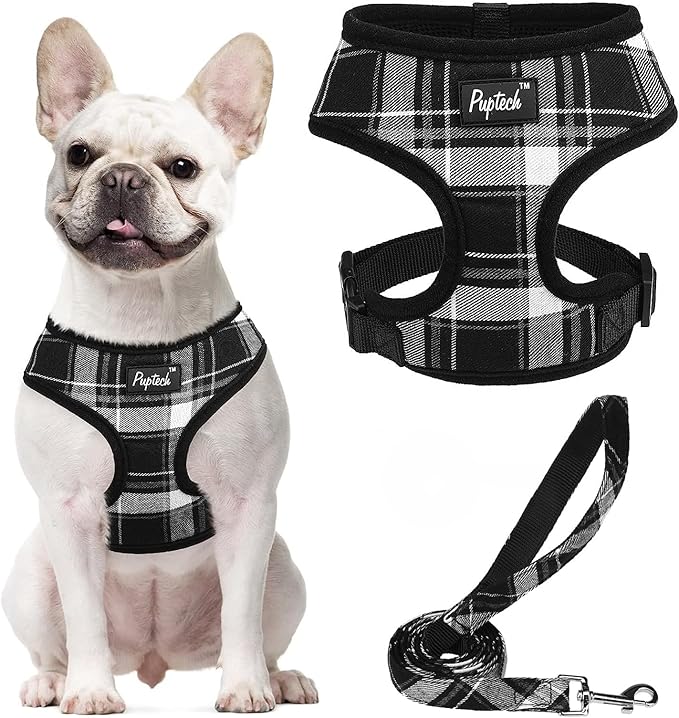 PUPTECK Soft Mesh Dog Harness and Leash Set Pet Puppy Cat Comfort Padded Vest No Pull Harnesses, Black, M
