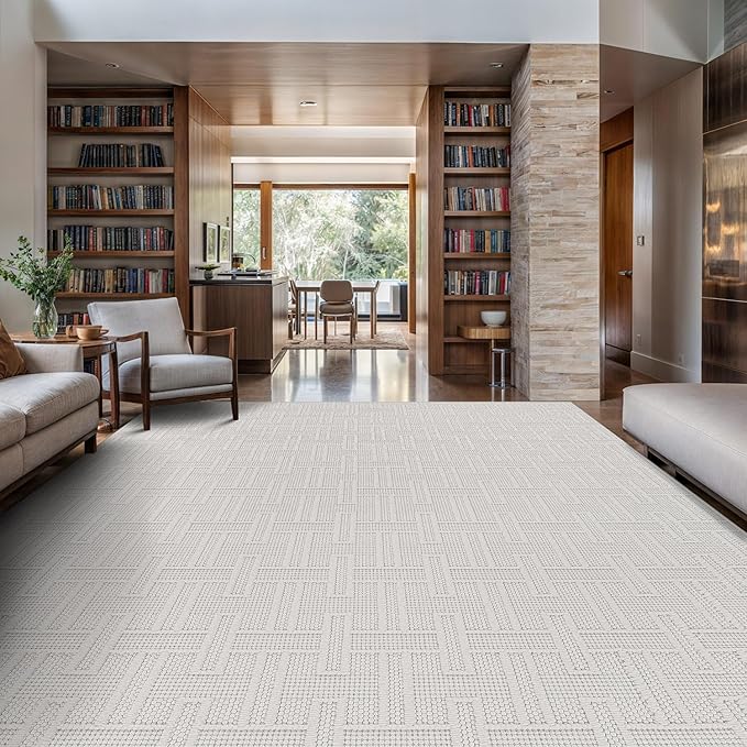 Micro Loop Indoor Rug White 6x9 Boho Geometric Neutral Area Rugs for Living Room Soft Luxury Modern Low and High Pile Durable Stain Resistant Non-Shedding Indoor Area Carpet 6 x 9