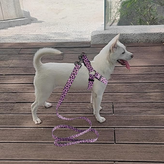 QQPETS Dog Harness Leash Set Adjustable Heavy Duty No Pull Halter Harnesses for Small Medium Large Breed Dogs Back Clip Anti-Twist Perfect for Walking