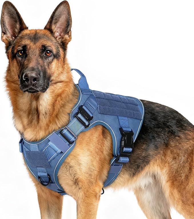 rabbitgoo Tactical Dog Harness for Extra Large Dogs, No Pull Upgraded Reflective Heavy Duty Molle Vest with Handle, Adjustable Military Service Dog Vest for Walking Hiking Training, Blue, XL