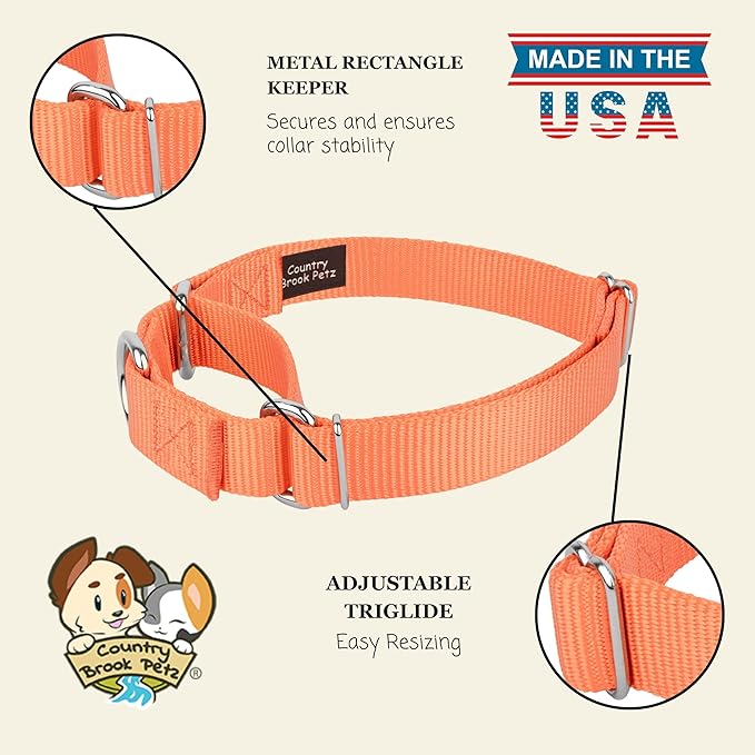 Country Brook Petz - Martingale Dog Collar - Heavy-Duty Training Collar with No Buckle - Service Dog Collar for All Pups - 10+ Warm Colors (Mango, 3/4 Inch, Small)