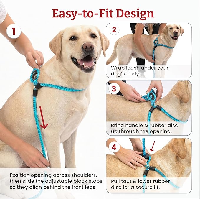 Harness Lead No Pull Dog Harness and Leash Set, Anti Pull Dog Harness for All Breeds and Sizes, One-Piece Cushioned Rope Design Safely Prevents Escaping and Pulling (Small/Medium, Black/Reflective)