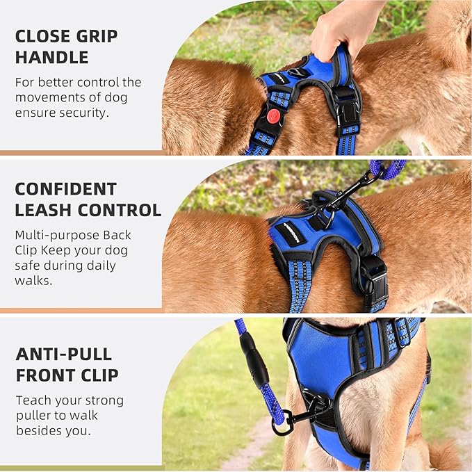 No Pull Dog Harness with A Free Heavy Duty 5ft Dog Leash, Adjustable Soft Padded Dog Vest, Reflective No-Choke Pet Oxford Vest with Easy Control Handle for Small and Large Dogs (Blue, Small)