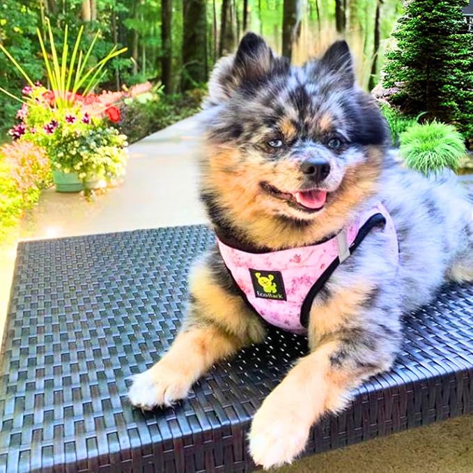 EcoBark Floral Dog Harness - Soft Luxury Step in Dog Harnesses in Floral Pattern - Safe & Secure Dog Halter Vest Wrap