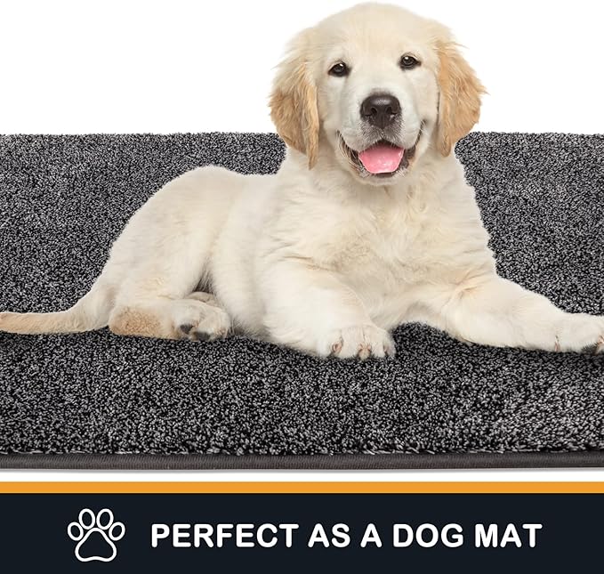 PURRUGS Dirt Trapping Door Mat 20" x 31.5", Non-Slip Machine Washable Entryway Rug, Dog Doormat, Indoor Front Door Mat, Super Absorbent Entry Rug for Muddy Shoes & Paws, Light Grey-Dark Grey