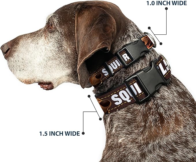 Buckle-Down Plastic Clip Collar - Dug 3-Poses/SQUIRREL! Brown/Yellow/White - 1.5" Wide - Fits 16-23" Neck - Medium