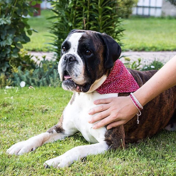 Pettsie Adjustable Dog Bandana Collar with Matching Owner Friendship Bracelet – Soft & Durable Hemp, Stylish Removable Scarf for Dogs, Gift-Ready Set for Pet Lovers, Large, Red