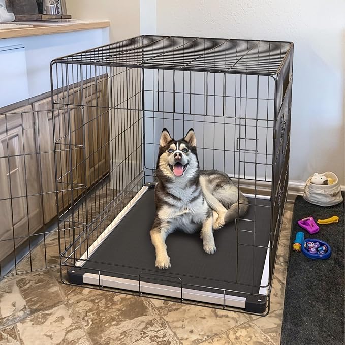 FXW TitanNest Chew-Proof Elevated Dog Bed, Raised Cot for Indoor/Outdoor/Camping Use, Durable & Washable Padded Pet Bed for Medium Dogs, 41.0" L x 27.0" W x 5.0" H, Black