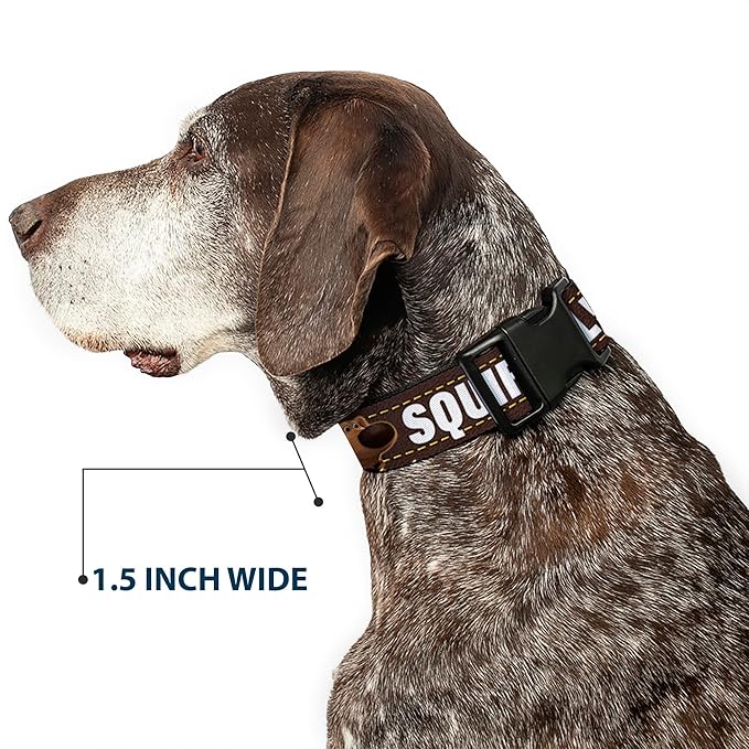 Buckle-Down Plastic Clip Collar - Dug 3-Poses/SQUIRREL! Brown/Yellow/White - 1/2" Wide - Fits 8-12" Neck - Medium