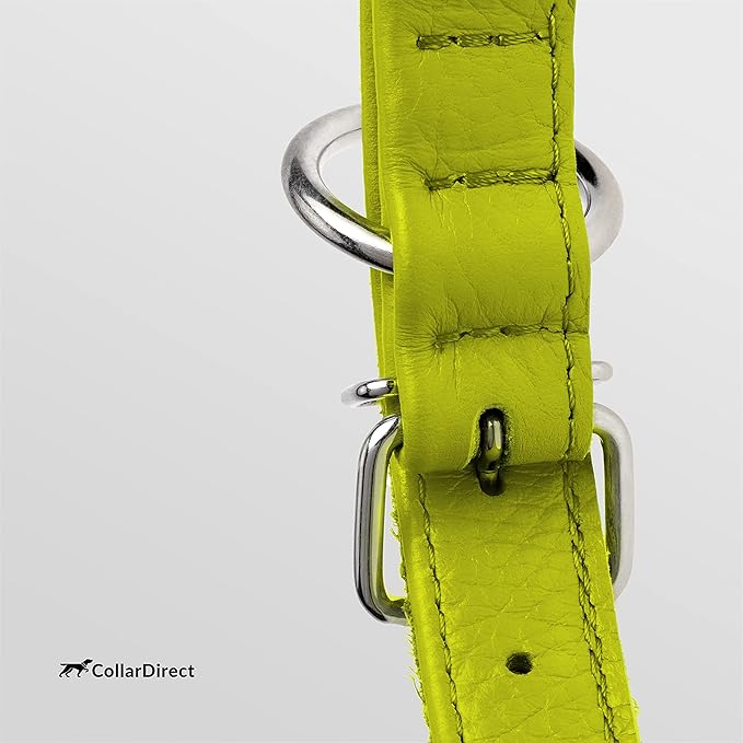 CollarDirect Rolled Leather Dog Collar, Soft Padded Round Puppy Collar, Handmade Genuine Leather Collar Dog Small Large Cat Collars 13 Colors (15-19 Inch, Lime Green Textured)