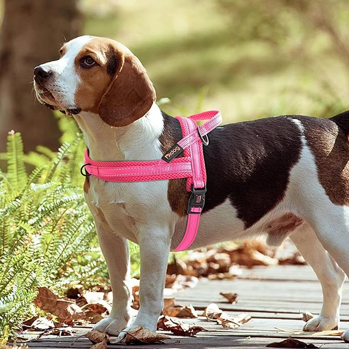 Didog No Pull Dog Harness with Soft Mesh Padded,Reflective & Quick Fit Light Weight Dog Strap Vest Harness,Easy for Walking Training (L:Chest 26-32", Pink)