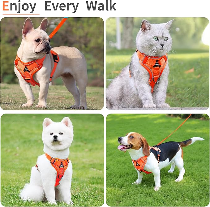 No Pull Dog Harness with Leash Set for Medium Sized Dog, Reflective Adjustable No Choke Front Clip Cat Vest Harness with Breathable Mesh, Comfortable Soft Padded Pet Vest, Orange XL