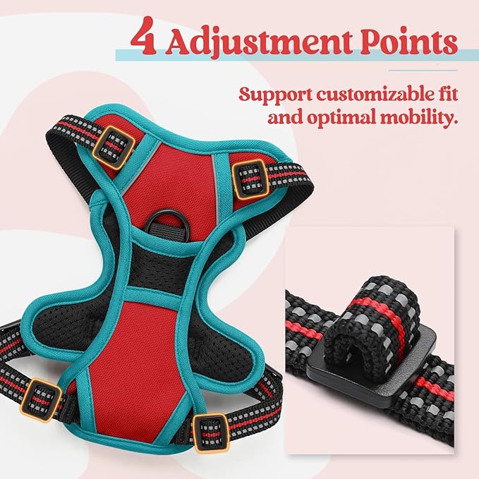 rabbitgoo Dog Harness No Pull with 2 Leash Clips, Adjustable Soft Padded, Reflective Oxford No Choke Pet Vest with Easy Control Handle for Puppy, Red & Teal, XS