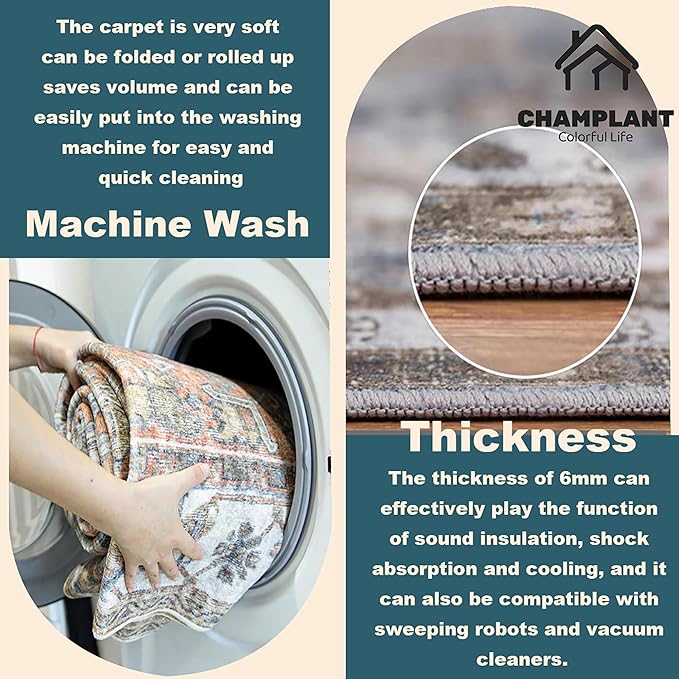 Washable Area Rug 9x12 Boho Chic Medallion Distressed Design Non-Shedding Easy Care Ideal for High Traffic Areas in Living Room Bedroom Office Coffee Table Large Carpet