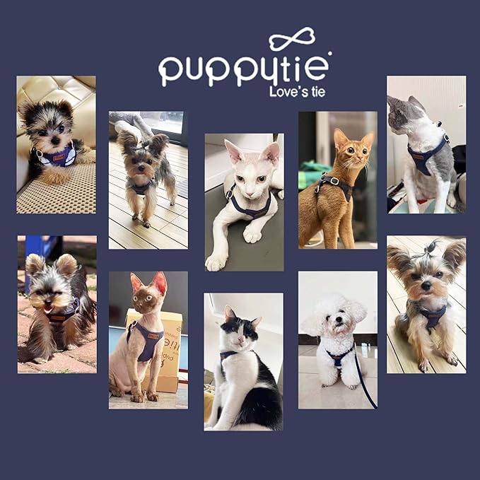 Puppytie No Pull Small Dog Harness with Multifunction Dog Leash,Lightweight Soft Adjustable No Choke Escape Proof Pet Harness Vest Pet Harness Vest,Navy,S