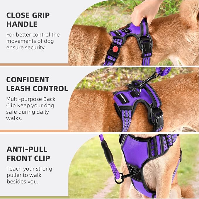 No Pull Dog Harness with A Free Heavy Duty 5ft Dog Leash, Adjustable Soft Padded Dog Vest, Reflective No-Choke Pet Oxford Vest with Easy Control Handle for Small and Large Dogs (Purple, Medium)