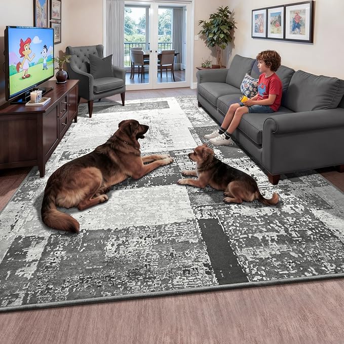 LOCHAS Rug for Living Room 6x9, Washable Soft Area Rugs for Bedroom, Abstract Carpet for Indoor Office Kids Dining Room Nursery Floor, Grey Geometric Vintage Home Decor, Non Slip, Pet Child Friendly