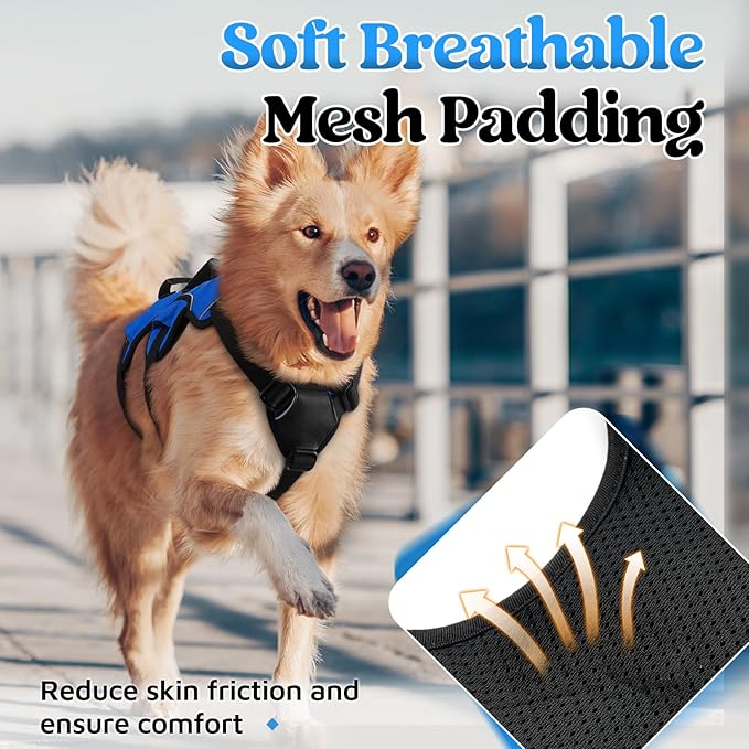 rabbitgoo Escape Proof Dog Harness, Soft Padded Full Body Pet Harness, Reflective Adjustable No Pull Vest with Lift Handle and Leash Clip for Large Dogs Walking Hiking Training, M, Blue