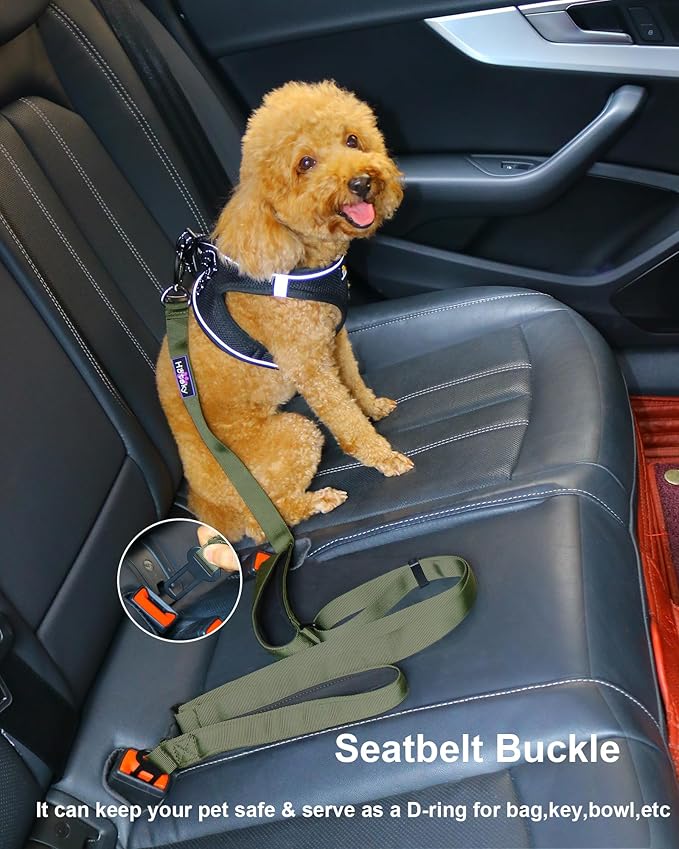 Hotsky Double Handle Dog Leash for Large Medium and Small Breed Dogs That Pull,Adjustable Nylon Heavy Duty Dog Leash with Car Seat Belt for Walking and Training,ArmyGreen,4.5-6 FT