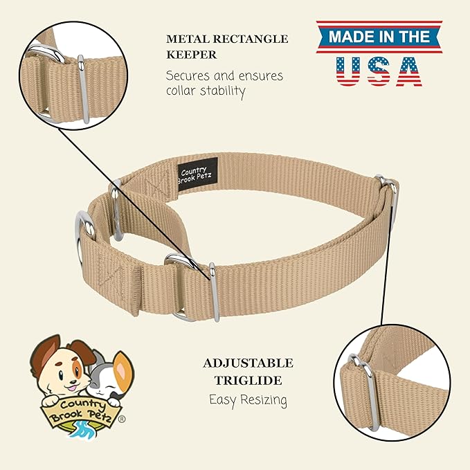 Country Brook Petz - Martingale Dog Collar - Heavy-Duty Training Collar with No Buckle - Service Dog Collar for All Pups - 10+ Warm Colors (Copper Gold, 3/8 Inch, 2XS)